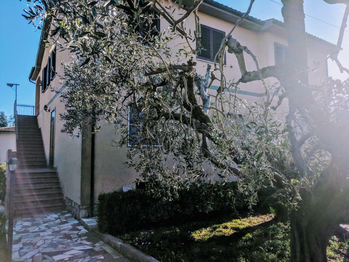 Maremmano Bnb カパルビオ エクステリア 写真